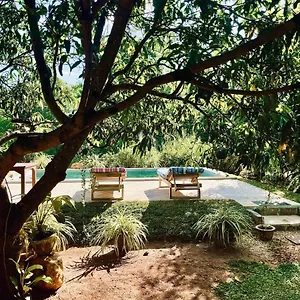 Shan Mango Homestay Sigiriya
