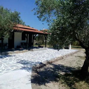 Pappou's , Όρμος Παναγιάς Ελλάδα
